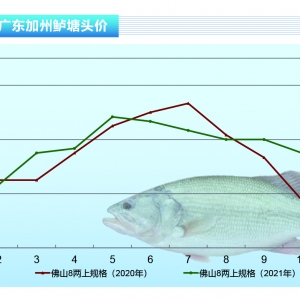 �����|�����ش��M(j��n)���~���\(y��n)����Ҏ(gu��)���~���Ρ�����ˮ�a(ch��n)ǰ�ء�2021��12�¿��Ј�څ��