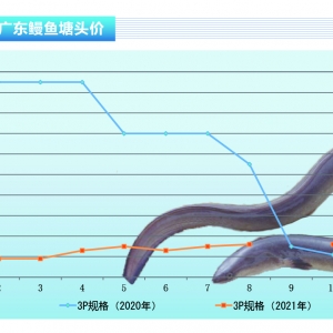 ���~������Ј��ձ����q���^�󡪡���ˮ�a(ch��n)ǰ�ء�2021��12�¿��Ј�څ��