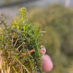 ��з��߳ɻ�����Ҫ�������_(k��i)ʼ