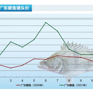 �Z�~����ʎ�������w�q4Ԫ/�����ˮ�aǰ�ء�2022��1�¿��Ј�څ��