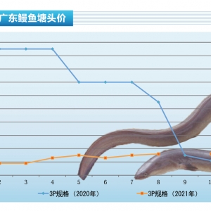 ���~������Ј��ձ������������r���ԝq������ˮ�aǰ�ء�2022��1�¿��Ј�څ��