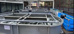 �������B(y��ng)�r���ց������Ј�Ŀ��(bi��o)���غ�����У�