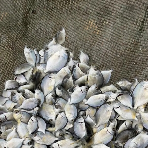 �_�P�r�����w����������KͶ���4�|