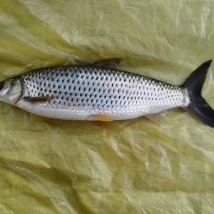 400Ԫ/��׃��ֻ���u5Ԫ��������ˮ�����(ch��ng)̝�p�_(d��)30�f(w��n)���ш�(b��o)����