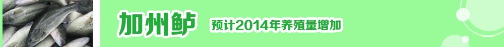 2014ˮ�a(ch��n)�N�紺��ُ(g��u)�Nָ��
